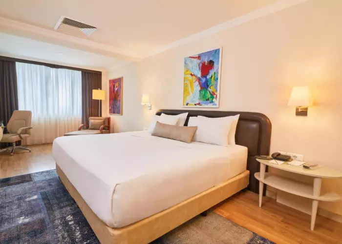 هتل ددمان استانبول